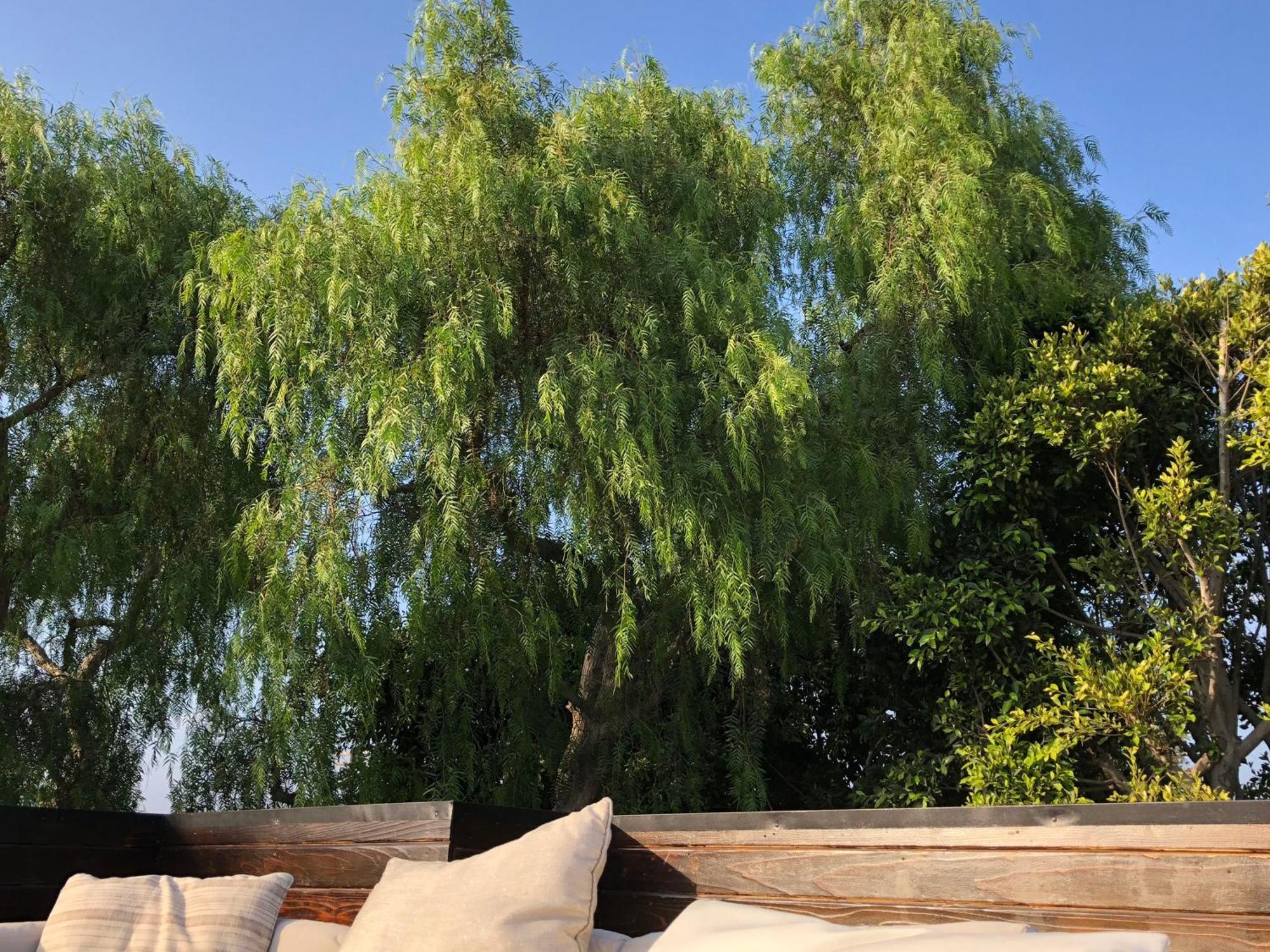 Venice Beach Studio With Large Private Patio Steps To The Beach Los Angeles Exterior foto
