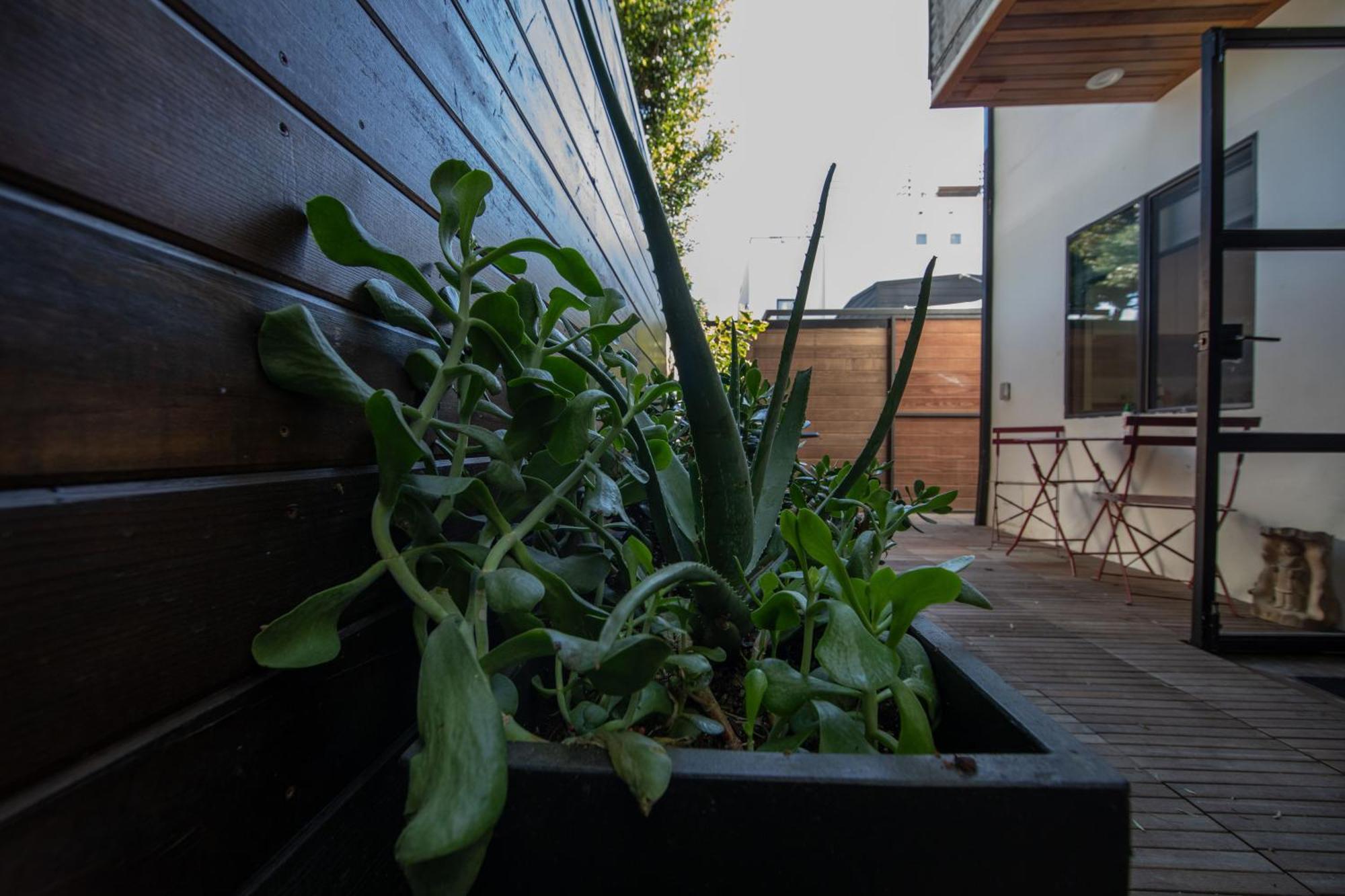 Venice Beach Studio With Large Private Patio Steps To The Beach Los Angeles Exterior foto